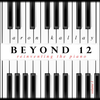 Aron Kallay Beyond 12 album cover