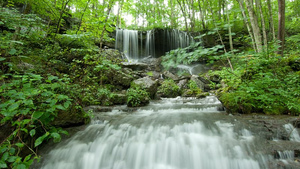 Gesundheit Institute waterfall